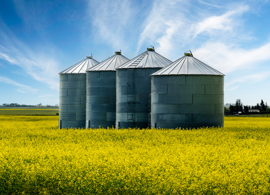 Grain bins